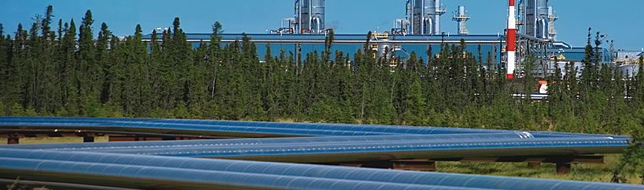 1468567649419645.jpg 未标题-1.jpg